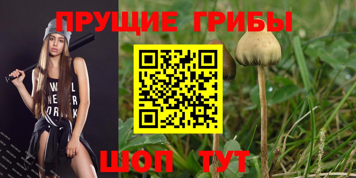 Амурск  Псилоцибиновые грибы Psilocybe  Вход с VPN  Псилоцибиновые грибы MAGIC MUSHROOMS 